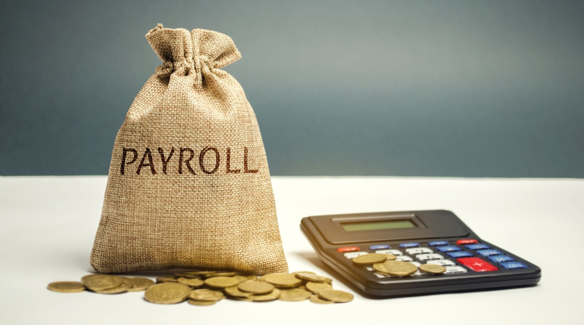 How a Payroll Accountant can Help your Business